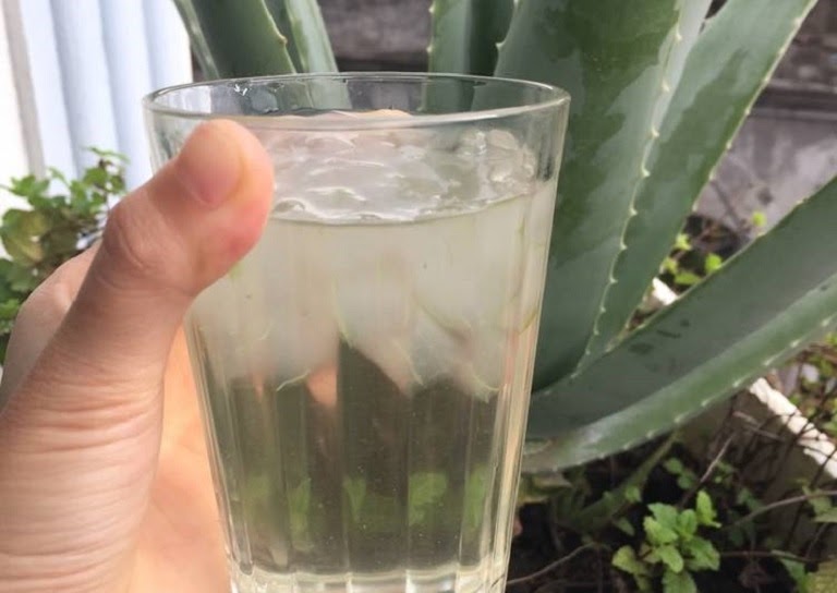 Nước uống  cây Nha Đam có nhiều lợi ích cho sức khỏe